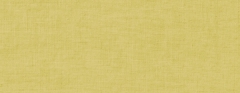 ˸